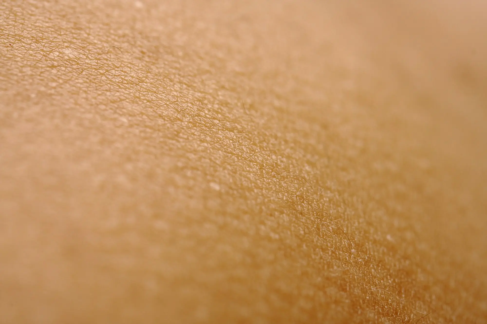 Detalle de la textura de la piel